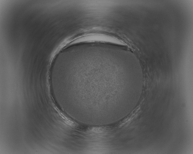 X0000067840341200604201247