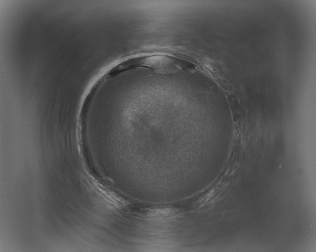 X0000067840342200604201247