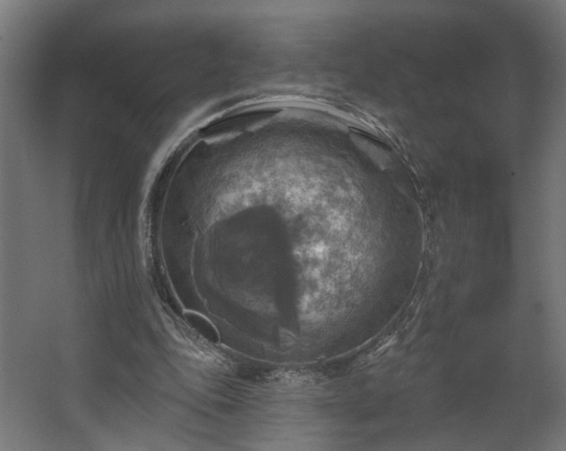 X0000067840343200604201247