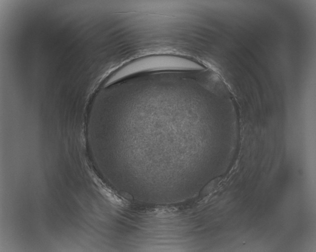 X0000067840345200604201247