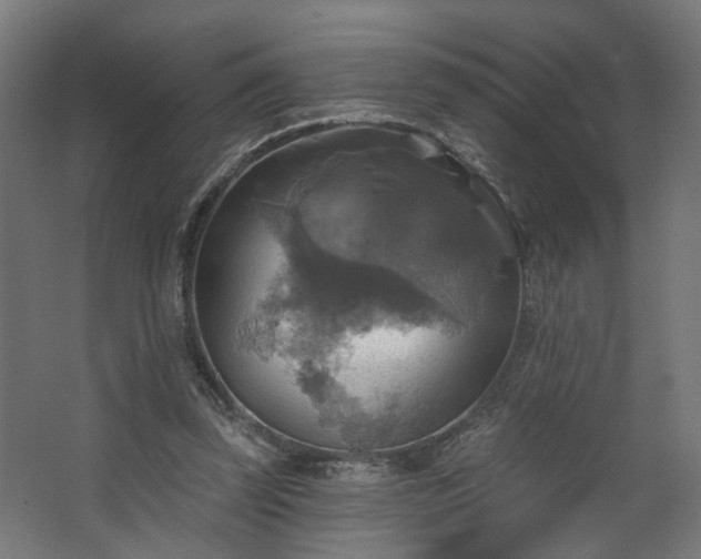 X0000067840347200604201247