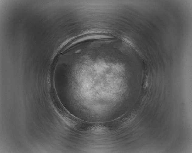 X0000067840348200604201247