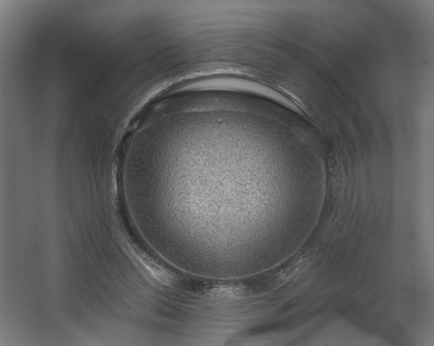 X0000067840350200604201247