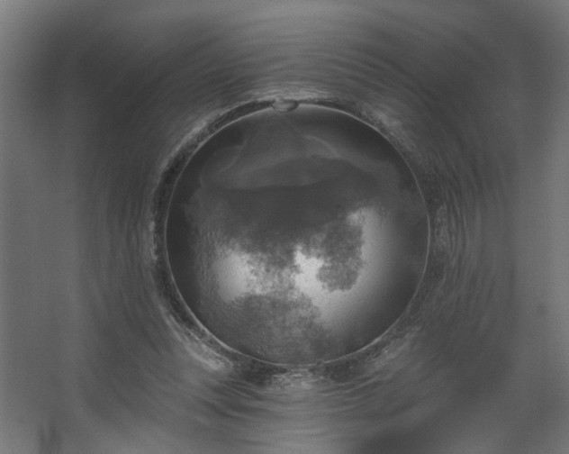 X0000067840351200604201247