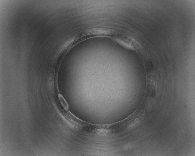 X0000067840352200604201247