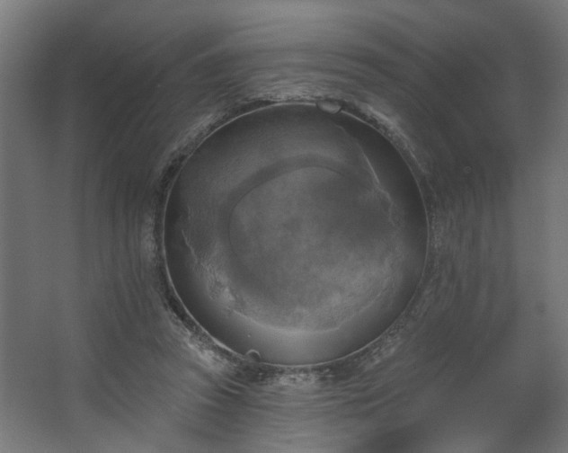 X0000067840353200604201247