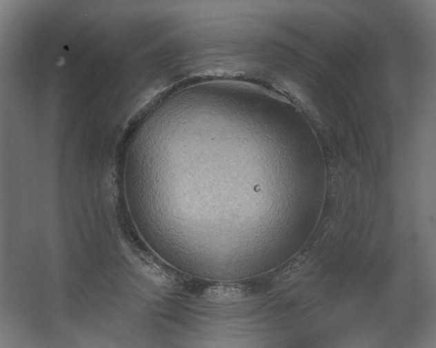 X0000067840354200604201247