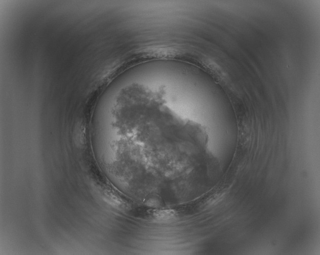 X0000067840355200604201247