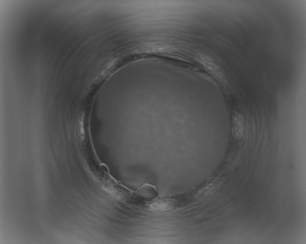 X0000067840358200604201247