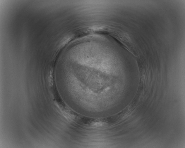 X0000067840360200604201247