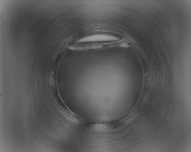 X0000067840361200604201247