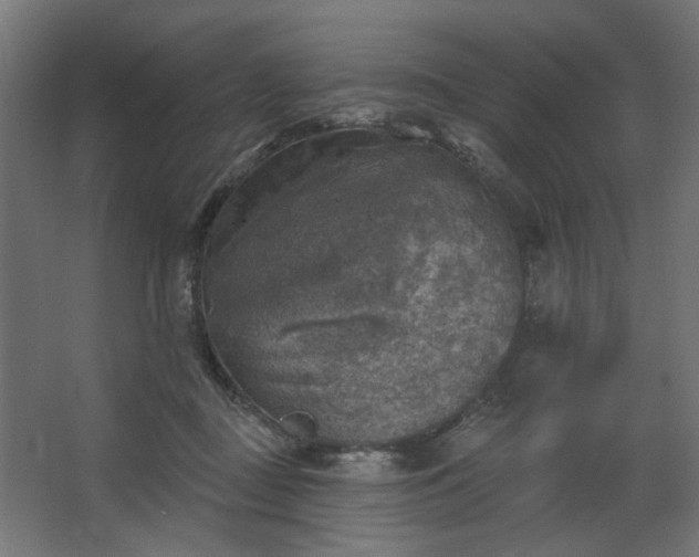 X0000067840363200604201247