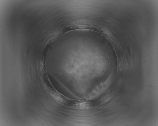 X0000067840365200604201247