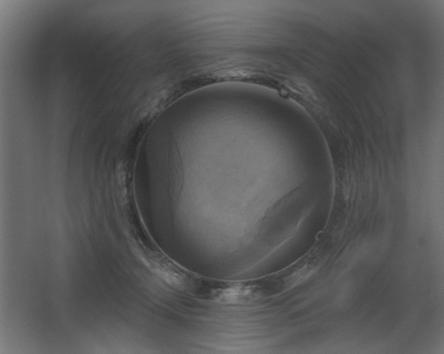 X0000067840366200604201247