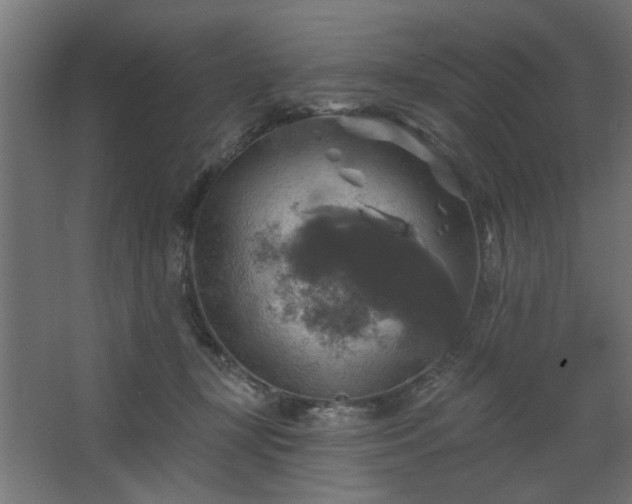 X0000067840367200604201247