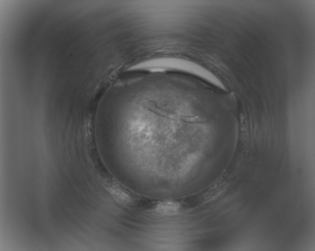 X0000067840369200604201247