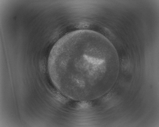 X0000067840370200604201247