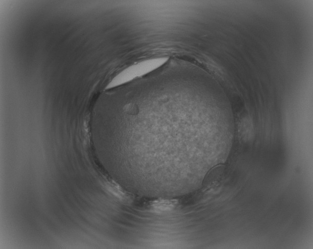 X0000067840373200604201248