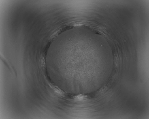 X0000067840375200604201248