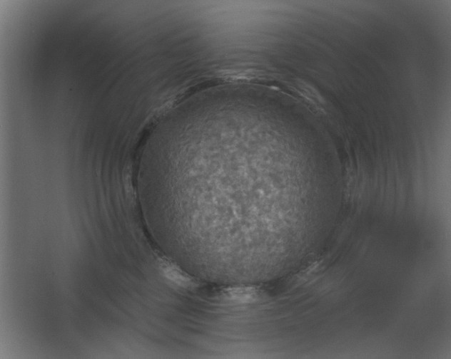 X0000067840377200604201248