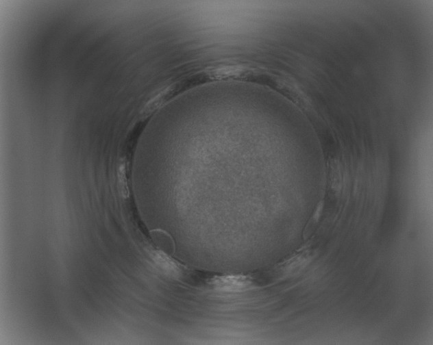 X0000067840378200604201248