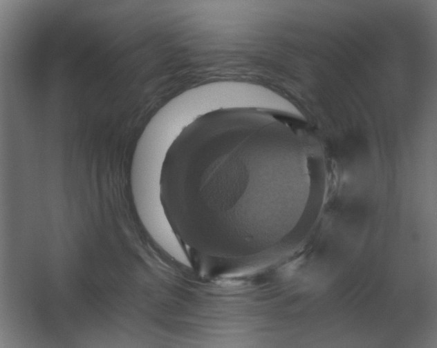 X0000067840380200604201248