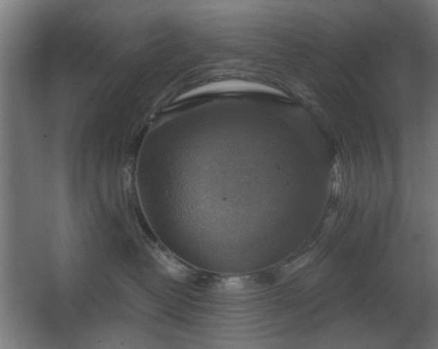 X0000067840382200604201248