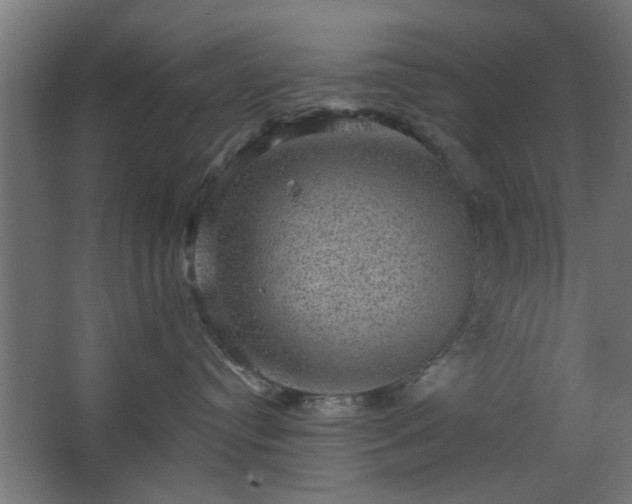 X0000067840384200604201248