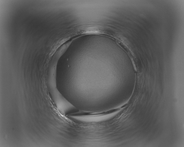 X0000067840385200604201247