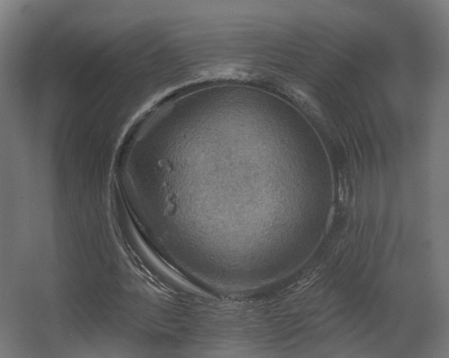 X0000067840388200604201247