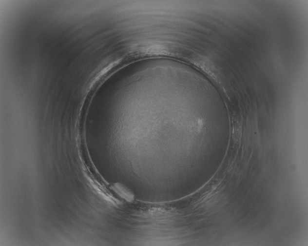 X0000067840390200604201247