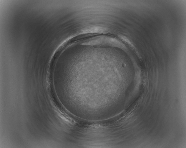 X0000067840392200604201247