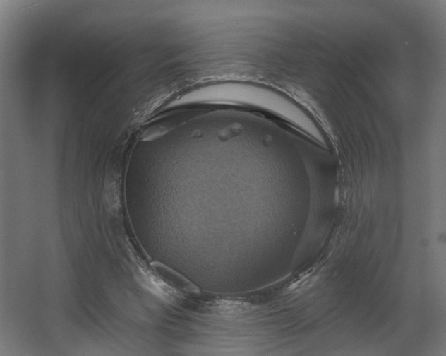 X0000067840393200604201247