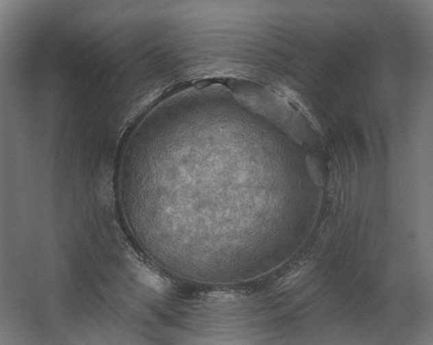 X0000067840394200604201247