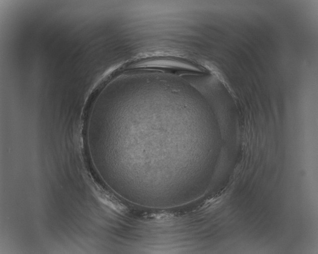 X0000067840395200604201247