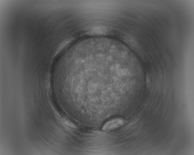 X0000067840396200604201247