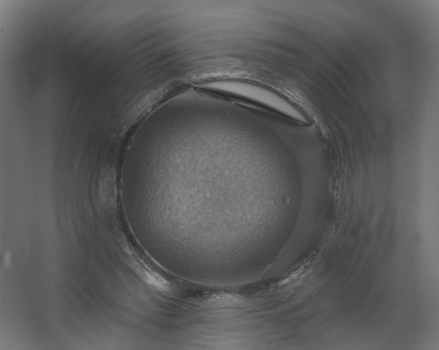 X0000067840397200604201247