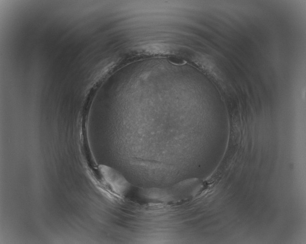 X0000067840398200604201247