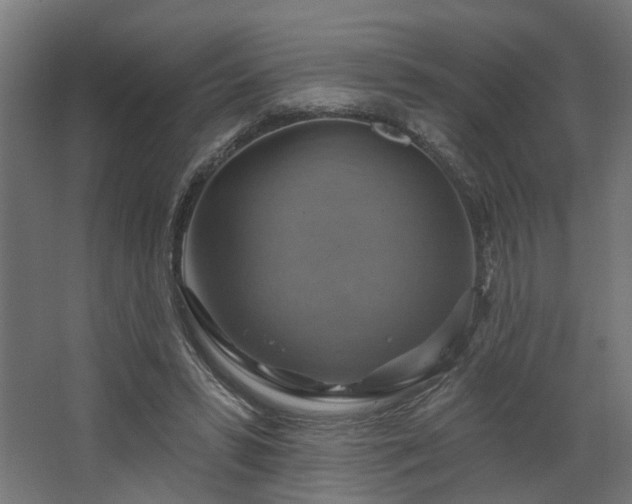 X0000067840399200604201247