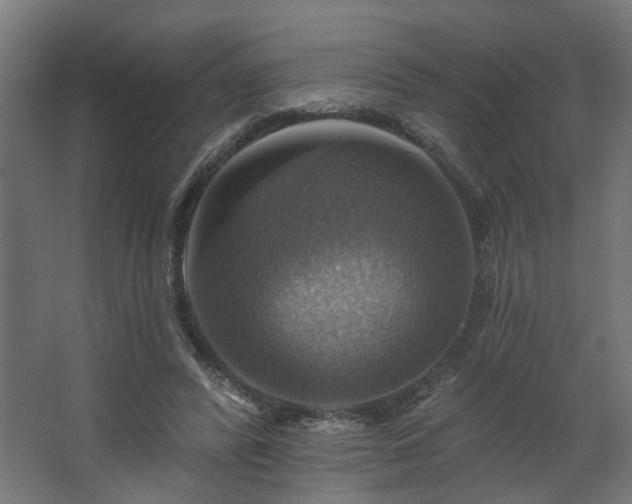 X0000067840400200604201247