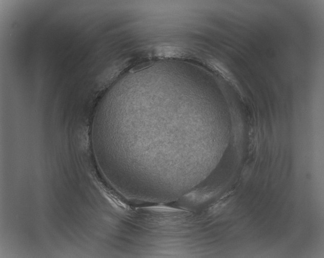 X0000067840401200604201247