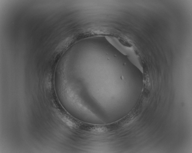 X0000067840402200604201247