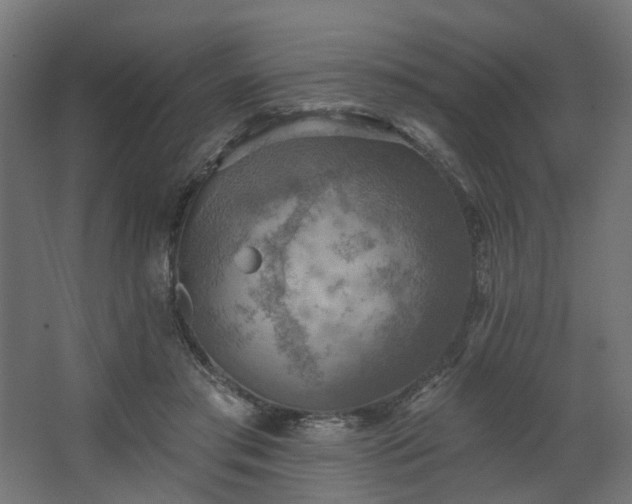 X0000067840405200604201247