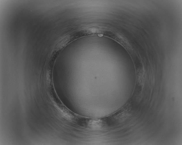 X0000067840410200604201247