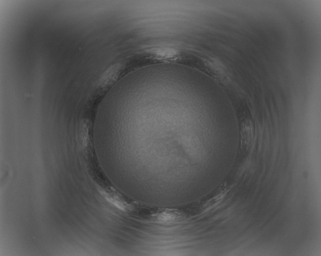 X0000067840412200604201246