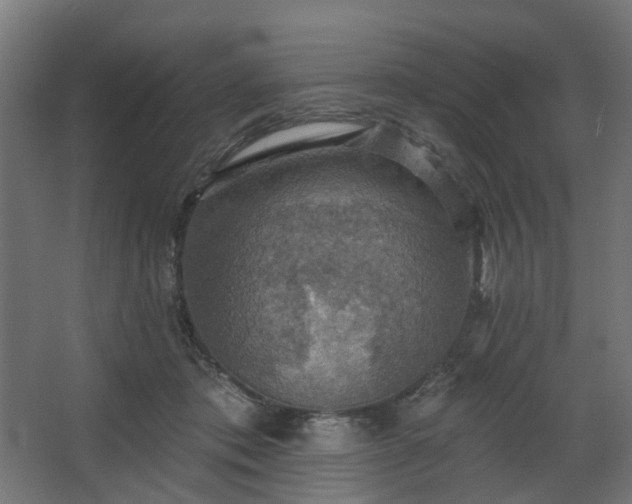 X0000067840413200604201246