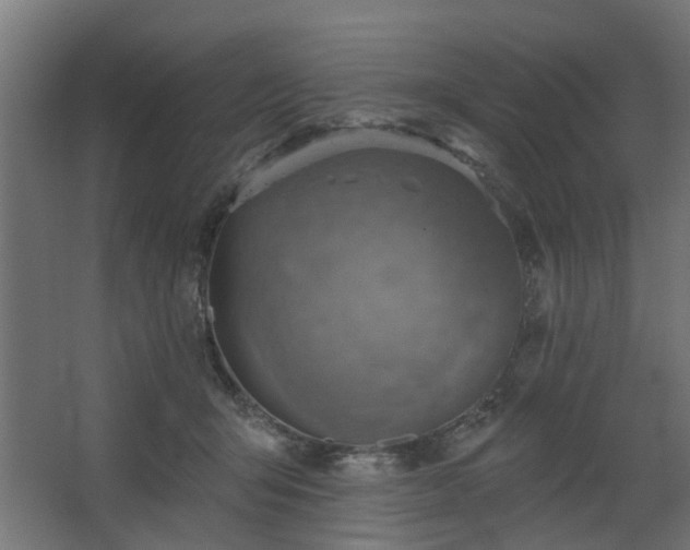 X0000067840415200604201246