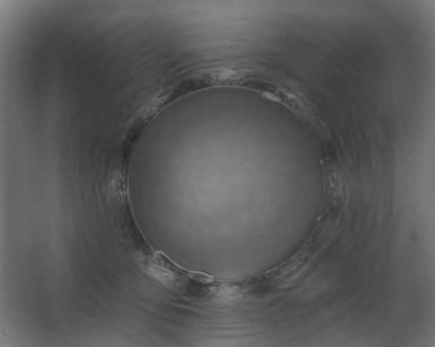 X0000067840419200604201246