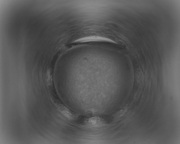 X0000067840420200604201246