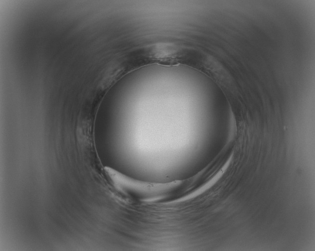 X0000067840421200604201246